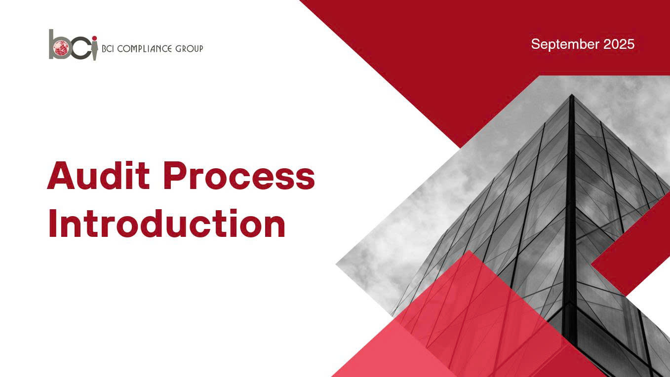 Audit Process Training Course