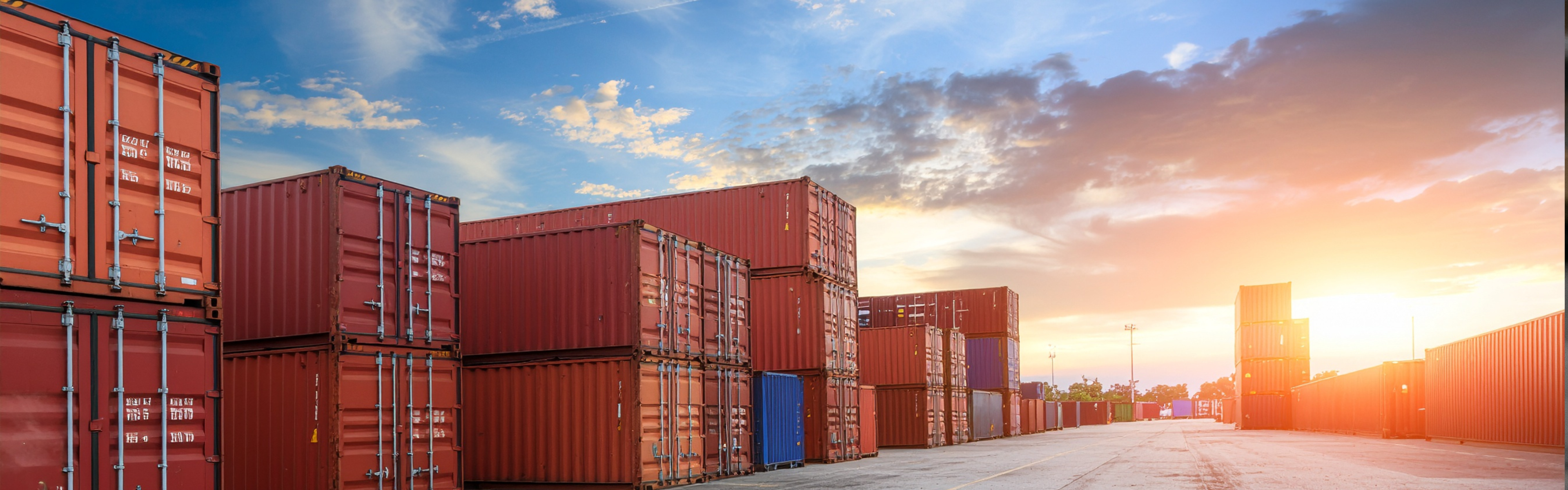 Customs Trade Partnership Against Terrorism (C-TPAT)