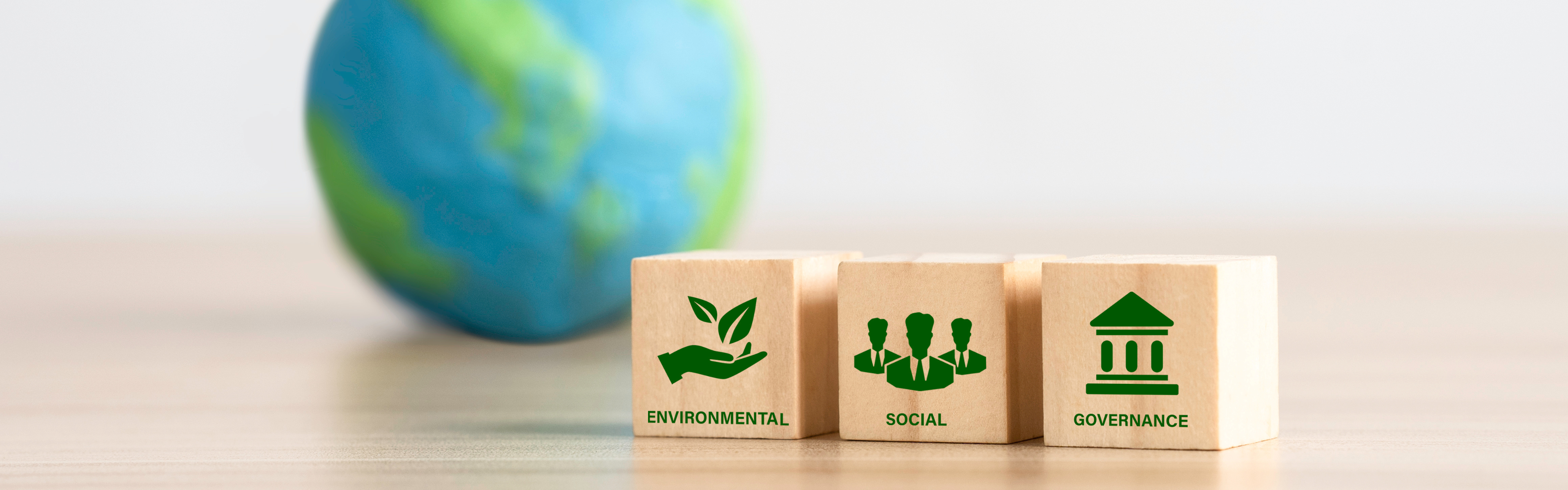 Code of Conduct (COC) Audits for Brands